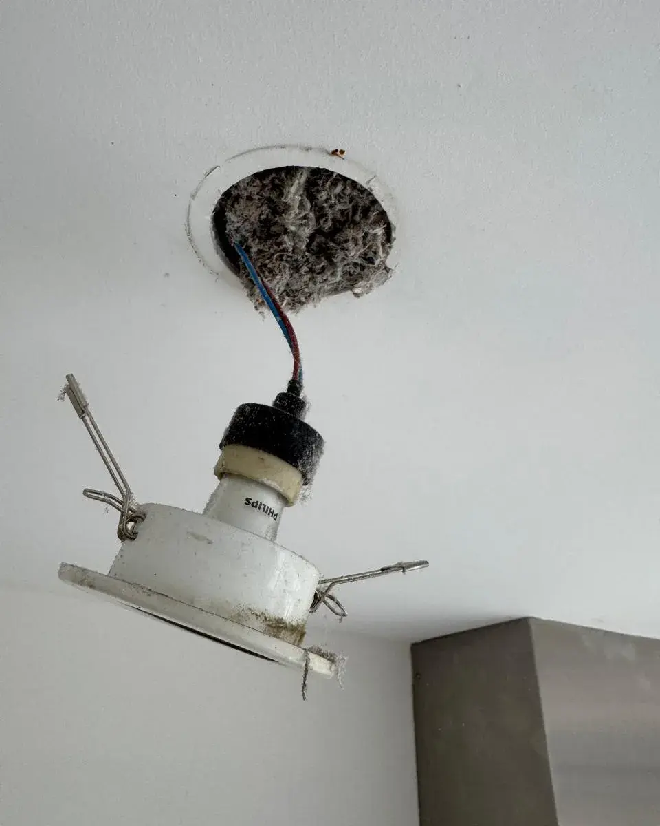 Weggehaalde inbouwspot met de grijze cellulose zichtbaar in de holte erboven